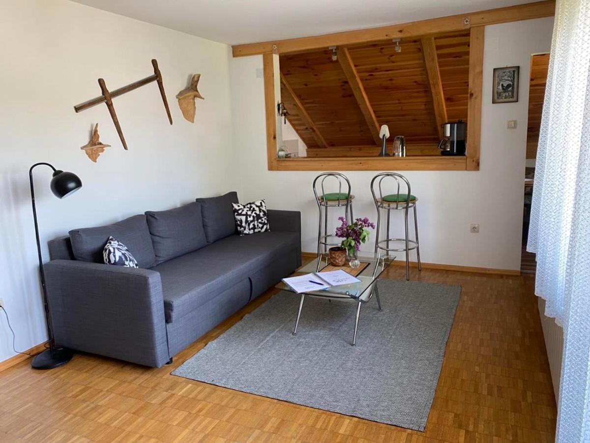 Apartmani Gruzdovo ديلنايس المظهر الخارجي الصورة