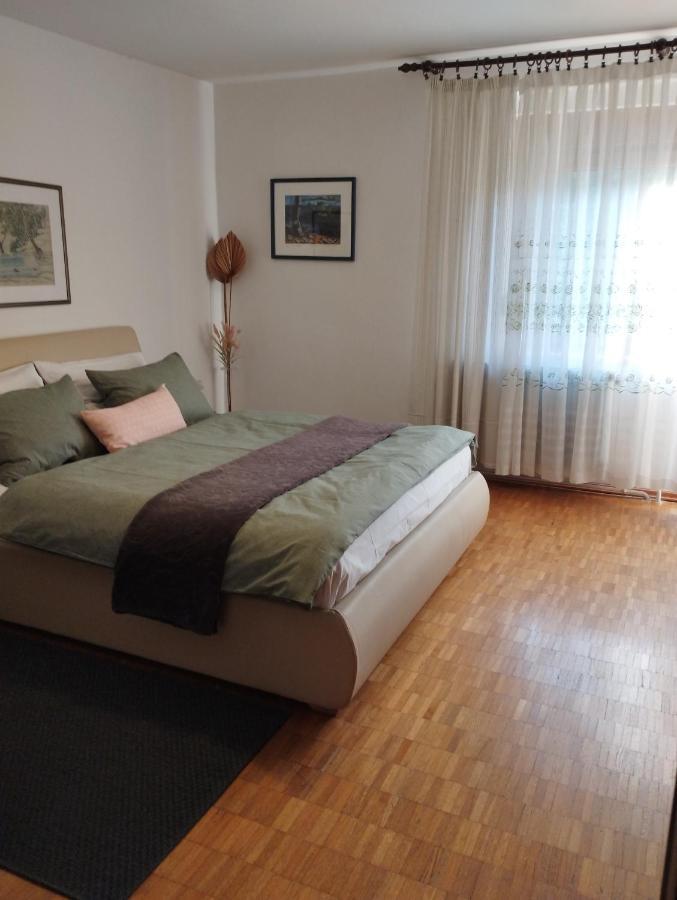 Apartmani Gruzdovo ديلنايس المظهر الخارجي الصورة
